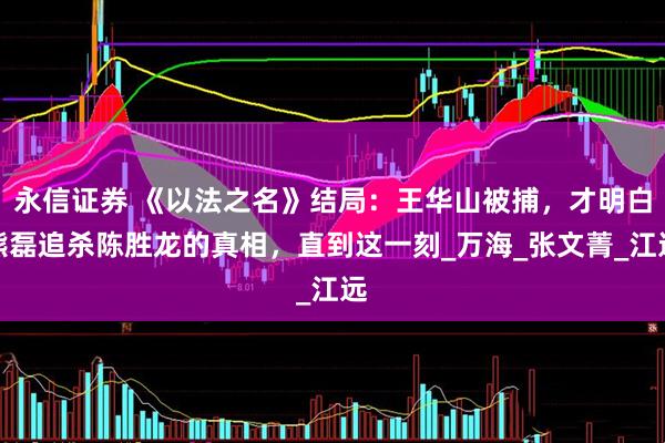 永信证券 《以法之名》结局:王华山被捕,才明白熊磊追杀陈胜龙的真相,直到这一刻_万海_张文菁_江远